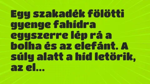 Vicc: Egy szakadék fölötti gyenge fahídra egyszerre lép rá a bolha és az…