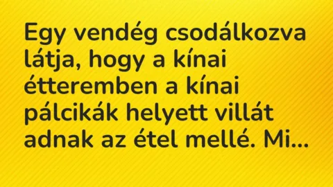 Vicc: Egy vendég csodálkozva látja, hogy a kínai étteremben a kínai pálcikák…