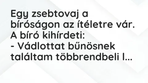 Vicc: Egy zsebtovaj a bíróságon az ítéletre vár. A bíró kihírdeti:

-…