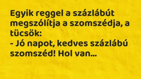 Vicc: Egyik reggel a százlábút megszólítja a szomszédja, a tücsök:

– Jó…