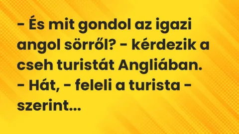 Vicc: – És mit gondol az igazi angol sörről? – kérdezik a cseh turistát… Vicc: – És mit gondol az igazi angol sörről? – kérdezik a cseh turistát…