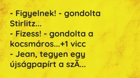 Vicc: – Figyelnek! – gondolta Stirlitz…

– Fizess! – gondolta a…