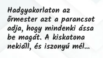 Vicc: Hadgyakorlaton az őrmester azt a parancsot adja, hogy mindenki ássa be… Vicc: Hadgyakorlaton az őrmester azt a parancsot adja, hogy mindenki ássa be…