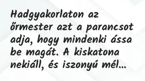 Vicc: Hadgyakorlaton az őrmester azt a parancsot adja, hogy mindenki ássa be… Vicc: Hadgyakorlaton az őrmester azt a parancsot adja, hogy mindenki ássa be…