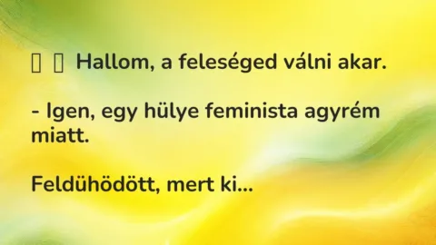 Vicc: 
	    	    Hallom, a feleséged válni akar.


– Igen, egy hülye…