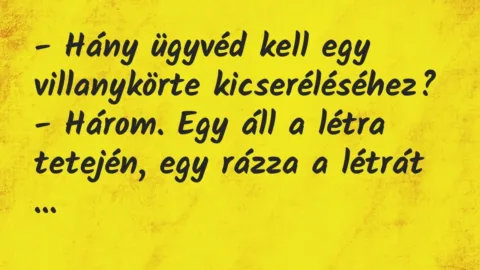 Vicc: – Hány ügyvéd kell egy villanykörte kicseréléséhez?

– Három. Egy…