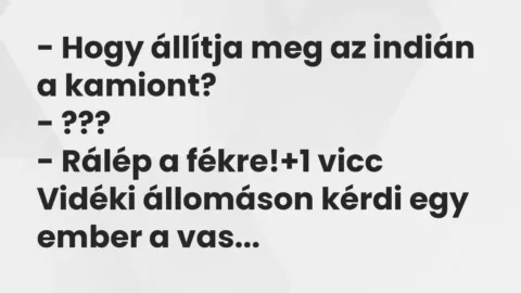 Vicc: – Hogy állítja meg az indián a kamiont?
– ???
– Rálép a… Vicc: – Hogy állítja meg az indián a kamiont?
– ???
– Rálép a…