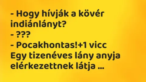 Vicc: – Hogy hívják a kövér indiánlányt?

– ???

– Pocakhontas!