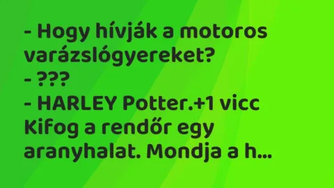 Vicc: – Hogy hívják a motoros varázslógyereket?

– ???

– HARLEY…