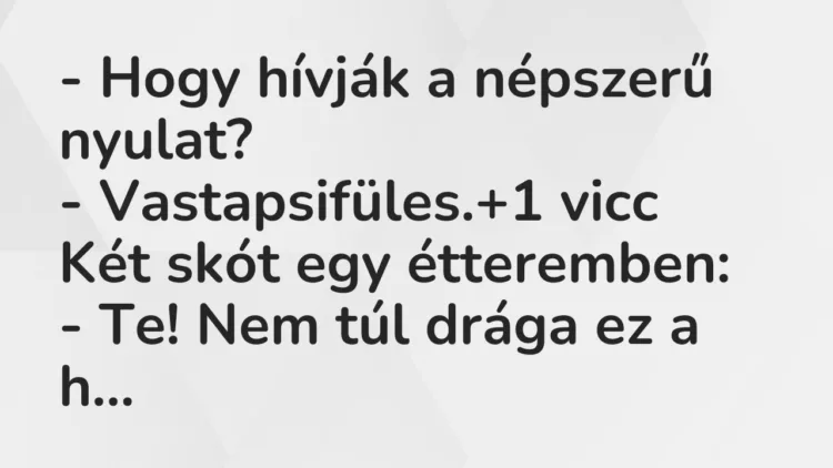 Vicc: – Hogy hívják a népszerű nyulat?
– Vastapsifüles. Vicc: – Hogy hívják a népszerű nyulat?
– Vastapsifüles.