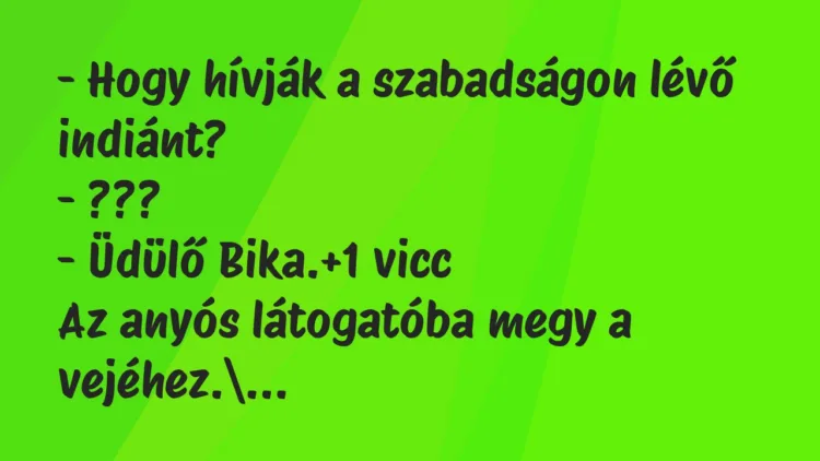 Vicc: – Hogy hívják a szabadságon lévő indiánt? – ??? – Üdülő… Vicc: – Hogy hívják a szabadságon lévő indiánt? – ??? – Üdülő…