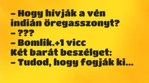 Vicc: – Hogy hívják a vén indián öregasszonyt?

– ???

– Bomlik.