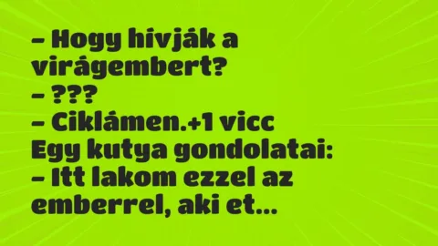 Vicc: – Hogy hívják a virágembert?
– ???
– Ciklámen. Vicc: – Hogy hívják a virágembert?
– ???
– Ciklámen.