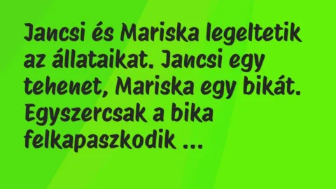 Vicc: Jancsi és Mariska legeltetik az állataikat. Jancsi egy tehenet,… Vicc: Jancsi és Mariska legeltetik az állataikat. Jancsi egy tehenet,…