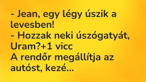 Vicc: – Jean, egy légy úszik a levesben!

– Hozzak neki úszógatyát,…