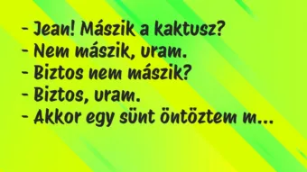 Vicc: – Jean! Mászik a kaktusz? – Nem mászik, uram. – Biztos nem…