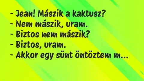 Vicc: – Jean! Mászik a kaktusz?

– Nem mászik, uram.

– Biztos nem…
