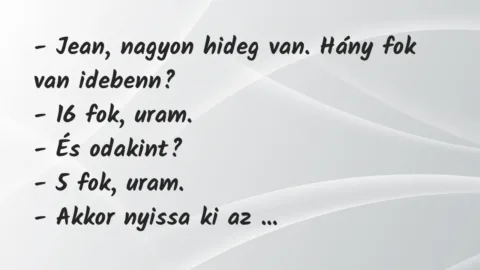 Vicc: – Jean, nagyon hideg van. Hány fok van idebenn?

– 16 fok,…