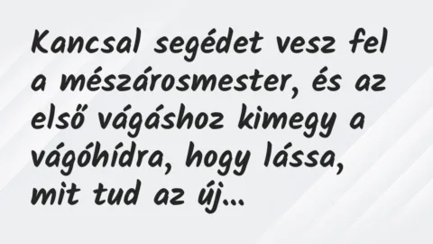 Vicc: Kancsal segédet vesz fel a mészárosmester, és az első vágáshoz kimegy… Vicc: Kancsal segédet vesz fel a mészárosmester, és az első vágáshoz kimegy…