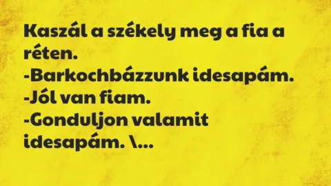 Vicc: Kaszál a székely meg a fia a réten. 

-Barkochbázzunk idesapám….