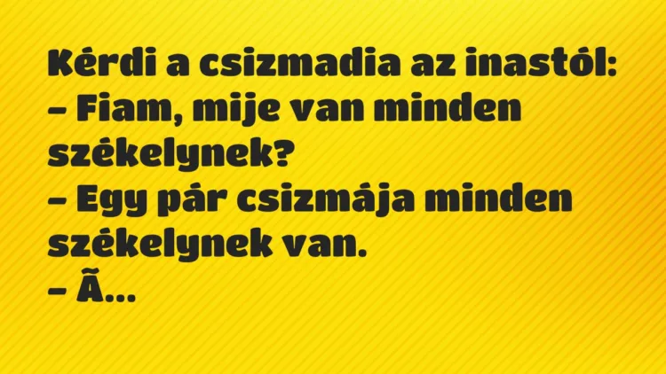 Vicc: Kérdi a csizmadia az inastól: – Fiam, mije van minden…