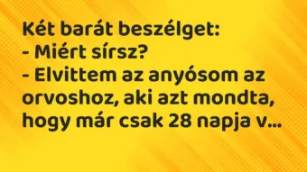Vicc: Két barát beszélget: – Miért sírsz? – Elvittem az anyósom az… Vicc: Két barát beszélget: – Miért sírsz? – Elvittem az anyósom az…