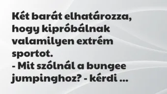 Vicc: Két barát elhatározza, hogy kipróbálnak valamilyen extrém…