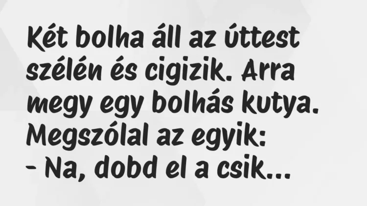 Vicc: Két bolha áll az úttest szélén és cigizik. Arra megy egy bolhás kutya…. Vicc: Két bolha áll az úttest szélén és cigizik. Arra megy egy bolhás kutya….