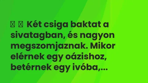 Vicc: 
	    	    Két csiga baktat a sivatagban, és nagyon megszomjaznak….