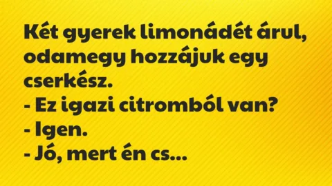 Vicc: Két gyerek limonádét árul, odamegy hozzájuk egy cserkész.

– Ez…