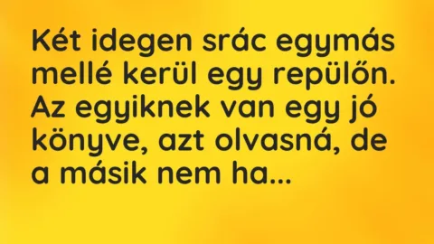 Vicc: Két idegen srác egymás mellé kerül egy repülőn. Az egyiknek van egy jó…