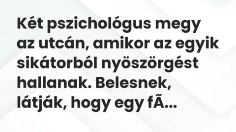 Vicc: Két pszichológus megy az utcán, amikor az egyik sikátorból nyöszörgést…