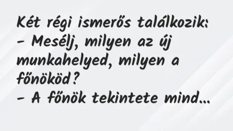 Vicc: Két régi ismerős találkozik:

– Mesélj, milyen az új munkahelyed,…