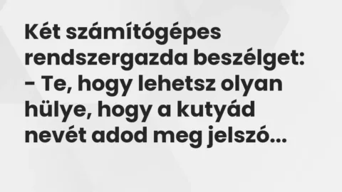 Vicc: Két számítógépes rendszergazda beszélget:
– Te, hogy lehetsz… Vicc: Két számítógépes rendszergazda beszélget:
– Te, hogy lehetsz…