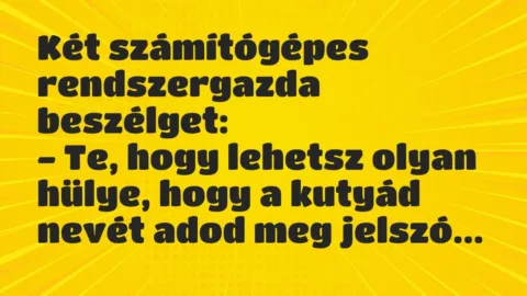 Vicc: Két számítógépes rendszergazda beszélget:

– Te, hogy lehetsz…