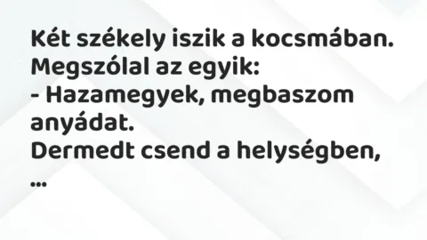 Vicc: Két székely iszik a kocsmában. Megszólal az egyik:
– Hazamegyek,… Vicc: Két székely iszik a kocsmában. Megszólal az egyik:
– Hazamegyek,…