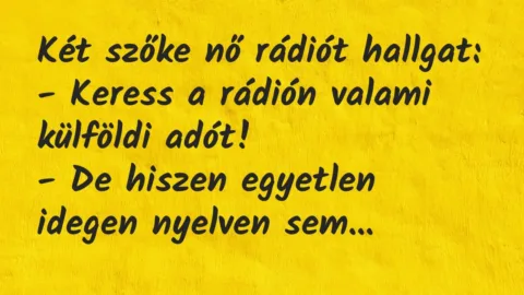 Vicc: Két szőke nő rádiót hallgat:

– Keress a rádión valami külföldi…