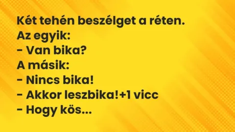 Vicc: Két tehén beszélget a réten.
Az egyik:
– Van bika?
A… Vicc: Két tehén beszélget a réten.
Az egyik:
– Van bika?
A…