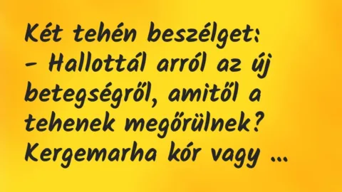 Vicc: Két tehén beszélget:

– Hallottál arról az új betegségről, amitől…