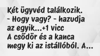 Vicc: Két ügyvéd találkozik. – Hogy vagy? – hazudja az egyik…