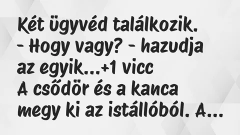 Vicc: Két ügyvéd találkozik.
– Hogy vagy? – hazudja az egyik… Vicc: Két ügyvéd találkozik.
– Hogy vagy? – hazudja az egyik…