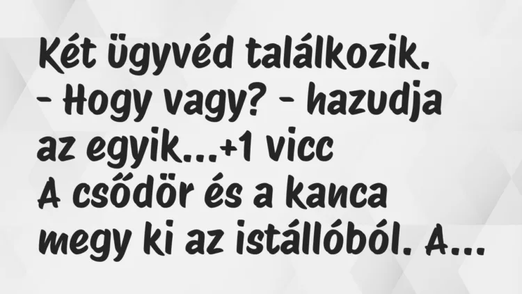 Vicc: Két ügyvéd találkozik. – Hogy vagy? – hazudja az egyik…