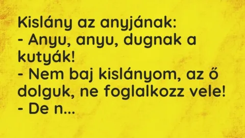 Vicc: Kislány az anyjának:

– Anyu, anyu, dugnak a kutyák!

– Nem…