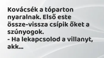 Vicc: Kovácsék a tóparton nyaralnak. Első este össze-vissza csípik őket a…