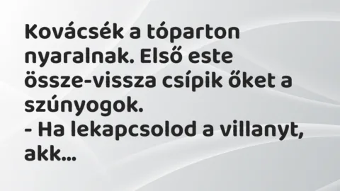 Vicc: Kovácsék a tóparton nyaralnak. Első este össze-vissza csípik őket a… Vicc: Kovácsék a tóparton nyaralnak. Első este össze-vissza csípik őket a…