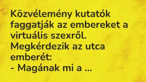 Vicc: Közvélemény kutatók faggatják az embereket a virtuális… Vicc: Közvélemény kutatók faggatják az embereket a virtuális…