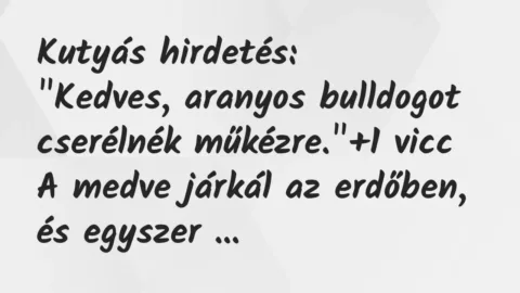 Vicc: Kutyás hirdetés:
„Kedves, aranyos bulldogot cserélnék műkézre.” Vicc: Kutyás hirdetés:
„Kedves, aranyos bulldogot cserélnék műkézre.”
