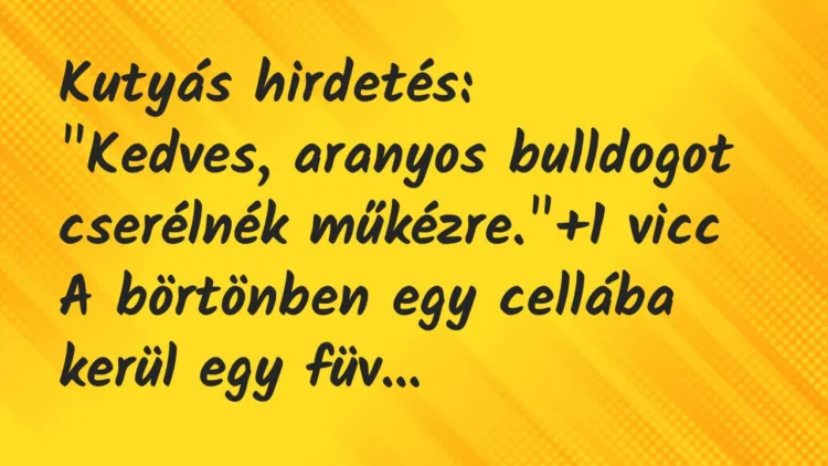 Vicc: Kutyás hirdetés: „Kedves, aranyos bulldogot cserélnék műkézre.”