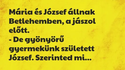 Vicc: Mária és József állnak Betlehemben, a jászol előtt.

– De gyönyörű…