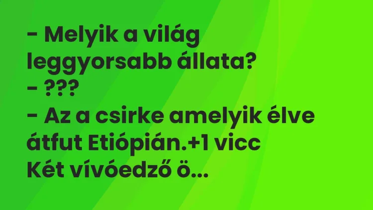 Vicc: – Melyik a világ leggyorsabb állata? – ??? – Az a csirke… Vicc: – Melyik a világ leggyorsabb állata? – ??? – Az a csirke…